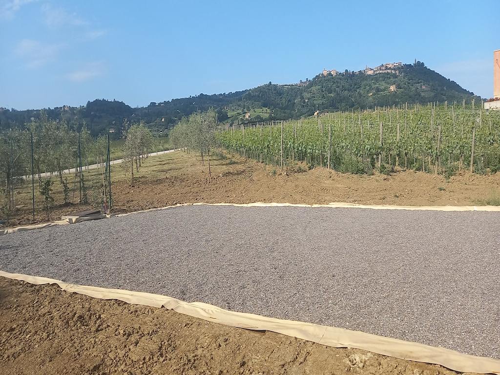 Impianto di fitodepurazione cantina Ridolfi, Montalcino